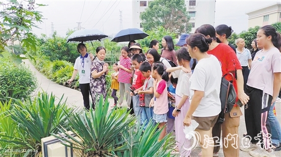 市民在嶺南藥用植物園學(xué)習(xí)辨認(rèn)常用的藥用植物。