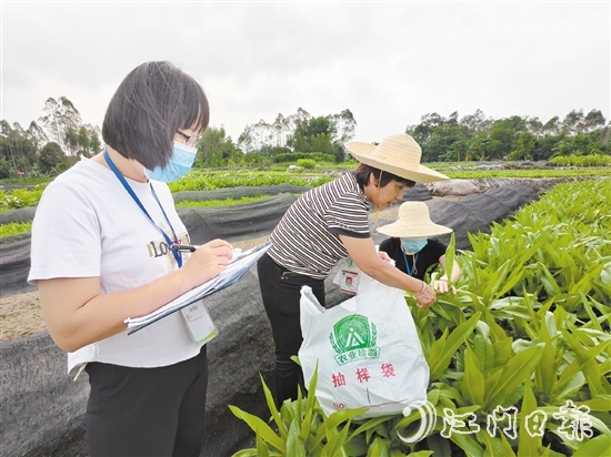 近期，恩平市農(nóng)業(yè)農(nóng)村局農(nóng)產(chǎn)品質(zhì)量監(jiān)督檢驗(yàn)測(cè)試中心工作人員根據(jù)上級(jí)要求，加大本地種養(yǎng)農(nóng)產(chǎn)品抽檢力度。