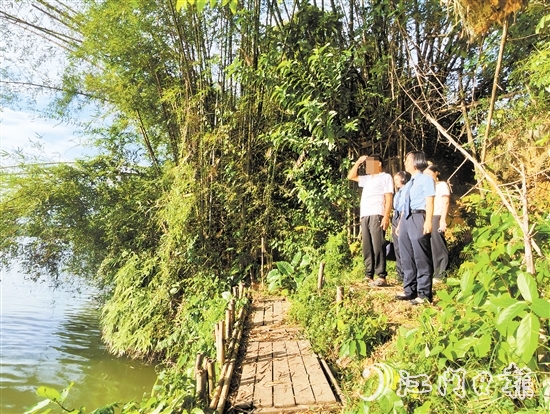 周非（左一）帶開(kāi)平市人民檢察院、市漁業(yè)協(xié)會(huì)工作人員查看自己日常巡河區(qū)域。