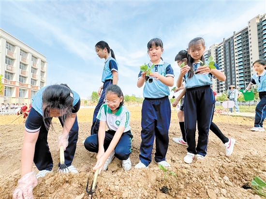 新寧小學(xué)以大自然為課堂、以天地為教室，精心組織開(kāi)展了一系列勞動(dòng)教育活動(dòng)。